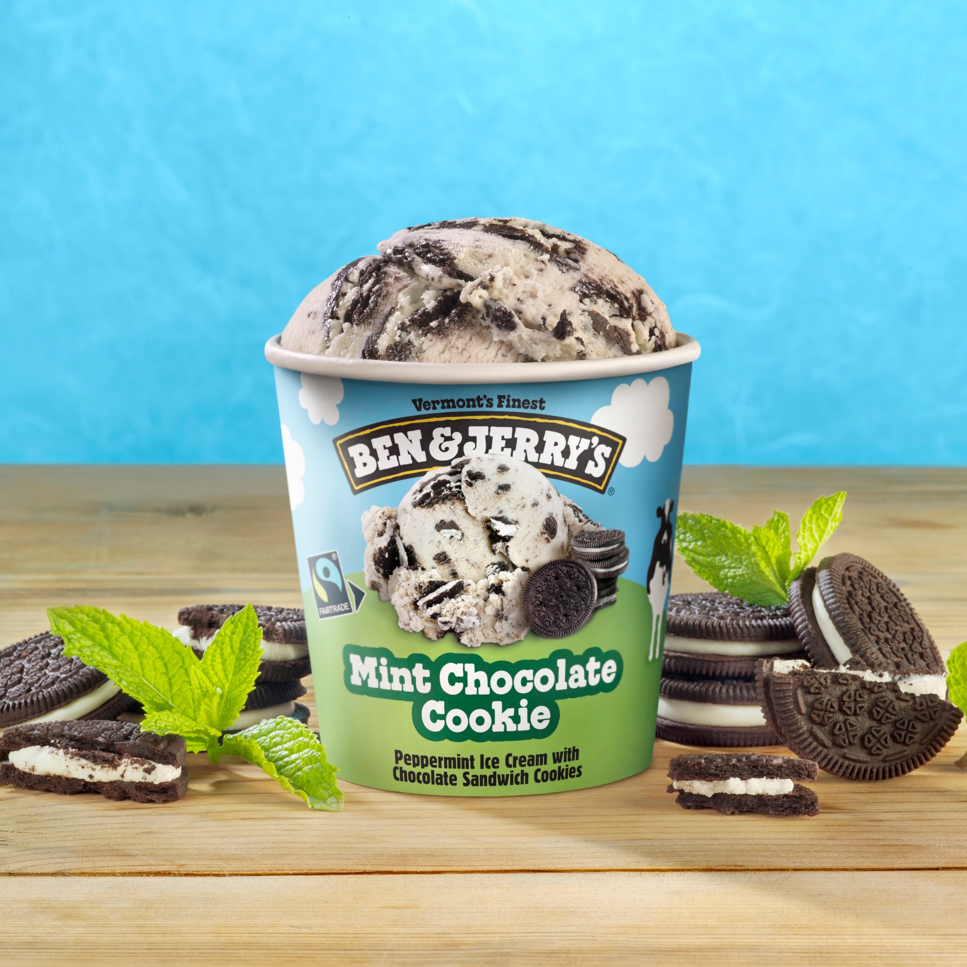 민트 초콜릿 칩 쿠키 Original Ice Cream Pint