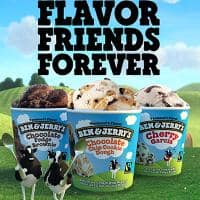 Flavor Friends Forever